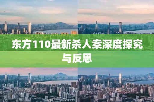 東方110最新殺人案深度探究與反思