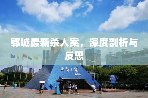 鄆城最新殺人案，深度剖析與反思