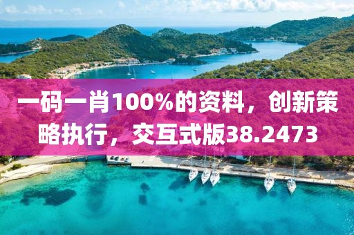 一碼一肖100%的資料，創(chuàng)新策略執(zhí)行，交互式版38.2473