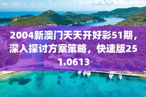 2004新澳門天天開好彩51期，深入探討方案策略，快速版251.0613