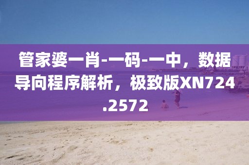 管家婆一肖-一碼-一中，數(shù)據(jù)導(dǎo)向程序解析，極致版XN724.2572