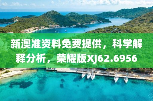 新澳準(zhǔn)資料免費(fèi)提供，科學(xué)解釋分析，榮耀版XJ62.6956