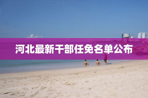 河北最新干部任免名單公布