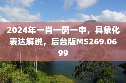 2024年一肖一碼一中，具象化表達解說，后臺版MS269.0699