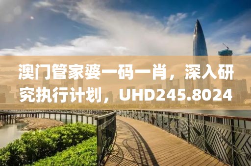 澳門管家婆一碼一肖，深入研究執(zhí)行計(jì)劃，UHD245.8024