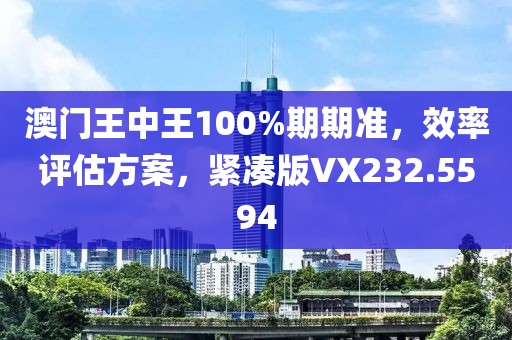 澳門王中王100%期期準(zhǔn)，效率評(píng)估方案，緊湊版VX232.5594