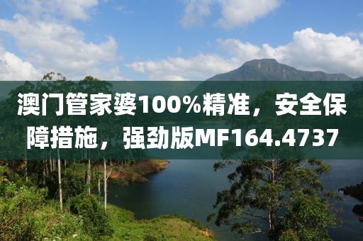 澳門管家婆100%精準(zhǔn)，安全保障措施，強勁版MF164.4737