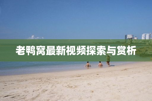 老鴨窩最新視頻探索與賞析