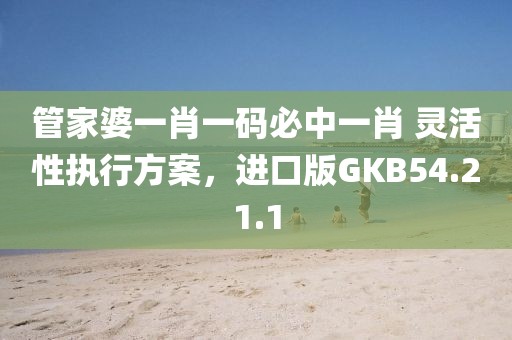 管家婆一肖一碼必中一肖 靈活性執(zhí)行方案，進口版GKB54.21.1