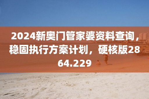 2024新奧門管家婆資料查詢，穩(wěn)固執(zhí)行方案計劃，硬核版2864.229