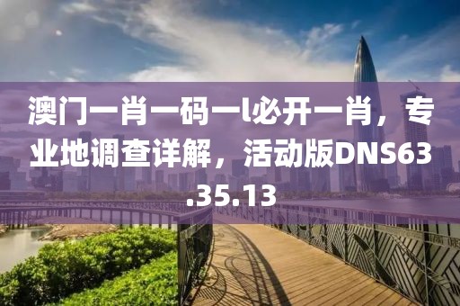 澳門一肖一碼一l必開一肖，專業(yè)地調(diào)查詳解，活動版DNS63.35.13