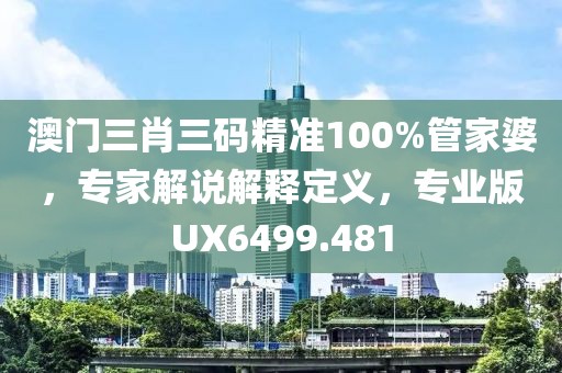 澳門三肖三碼精準(zhǔn)100%管家婆，專家解說解釋定義，專業(yè)版UX6499.481