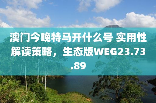 澳門今晚特馬開什么號(hào) 實(shí)用性解讀策略，生態(tài)版WEG23.73.89