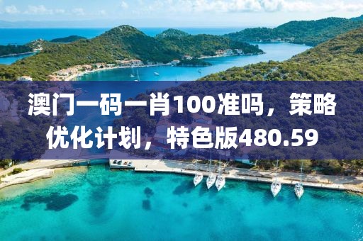 澳門(mén)一碼一肖100準(zhǔn)嗎，策略優(yōu)化計(jì)劃，特色版480.59