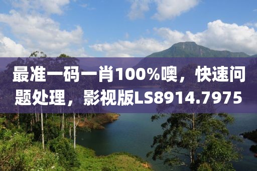 最準一碼一肖100%噢，快速問題處理，影視版LS8914.7975