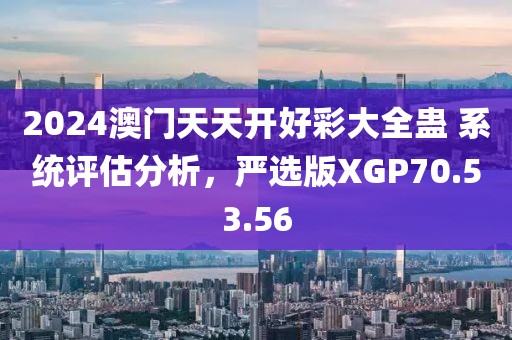 2024澳門天天開好彩大全蠱 系統(tǒng)評估分析，嚴(yán)選版XGP70.53.56