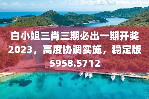 白小姐三肖三期必出一期開獎2023，高度協(xié)調(diào)實施，穩(wěn)定版5958.5712