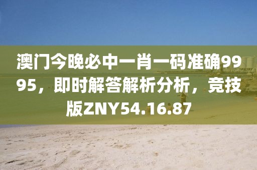 澳門今晚必中一肖一碼準(zhǔn)確9995，即時(shí)解答解析分析，競技版ZNY54.16.87