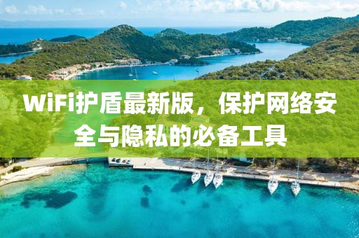 WiFi護盾最新版，保護網(wǎng)絡安全與隱私的必備工具