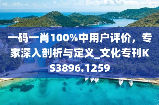 一碼一肖100%中用戶評價，專家深入剖析與定義_文化?？疜S3896.1259