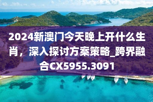 2024新澳門今天晚上開什么生肖，深入探討方案策略_跨界融合CX5955.3091