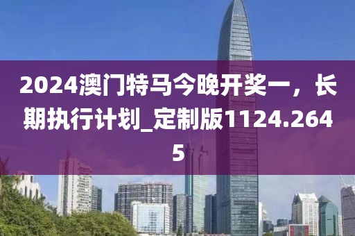 2024澳門特馬今晚開獎一，長期執(zhí)行計劃_定制版1124.2645