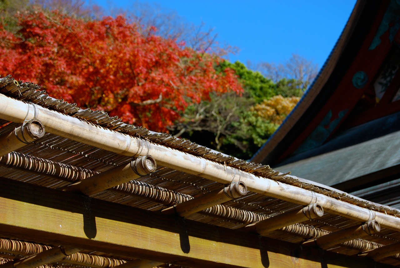 開平赤坎項(xiàng)目最新進(jìn)展動(dòng)態(tài)報(bào)告