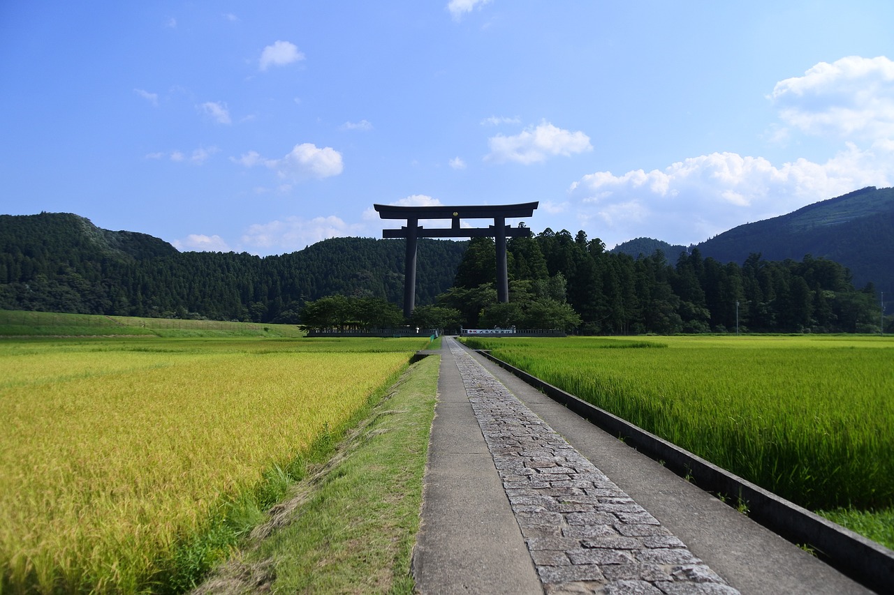 洛陽三山村最新規(guī)劃，重塑鄉(xiāng)村魅力，引領(lǐng)未來發(fā)展之路