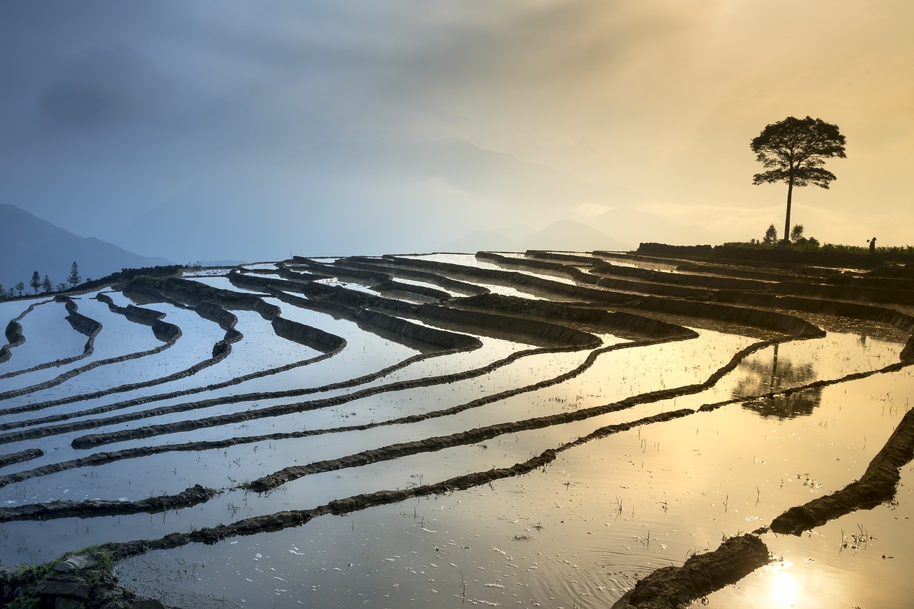 西山區(qū)草海最新規(guī)劃，打造生態(tài)宜居典范區(qū)
