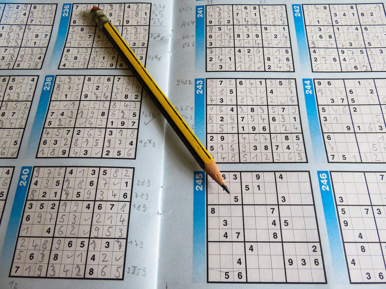 延薯四號(hào)最新價(jià)格及分析